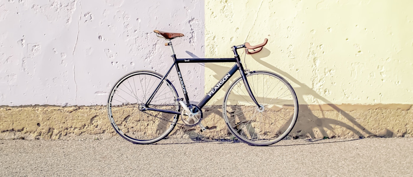 Healthy organic garden